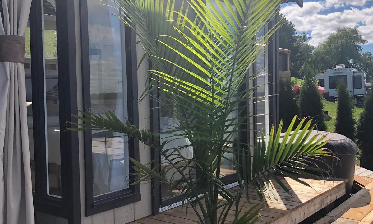 Photo of Patio Balcony in Plantagenet