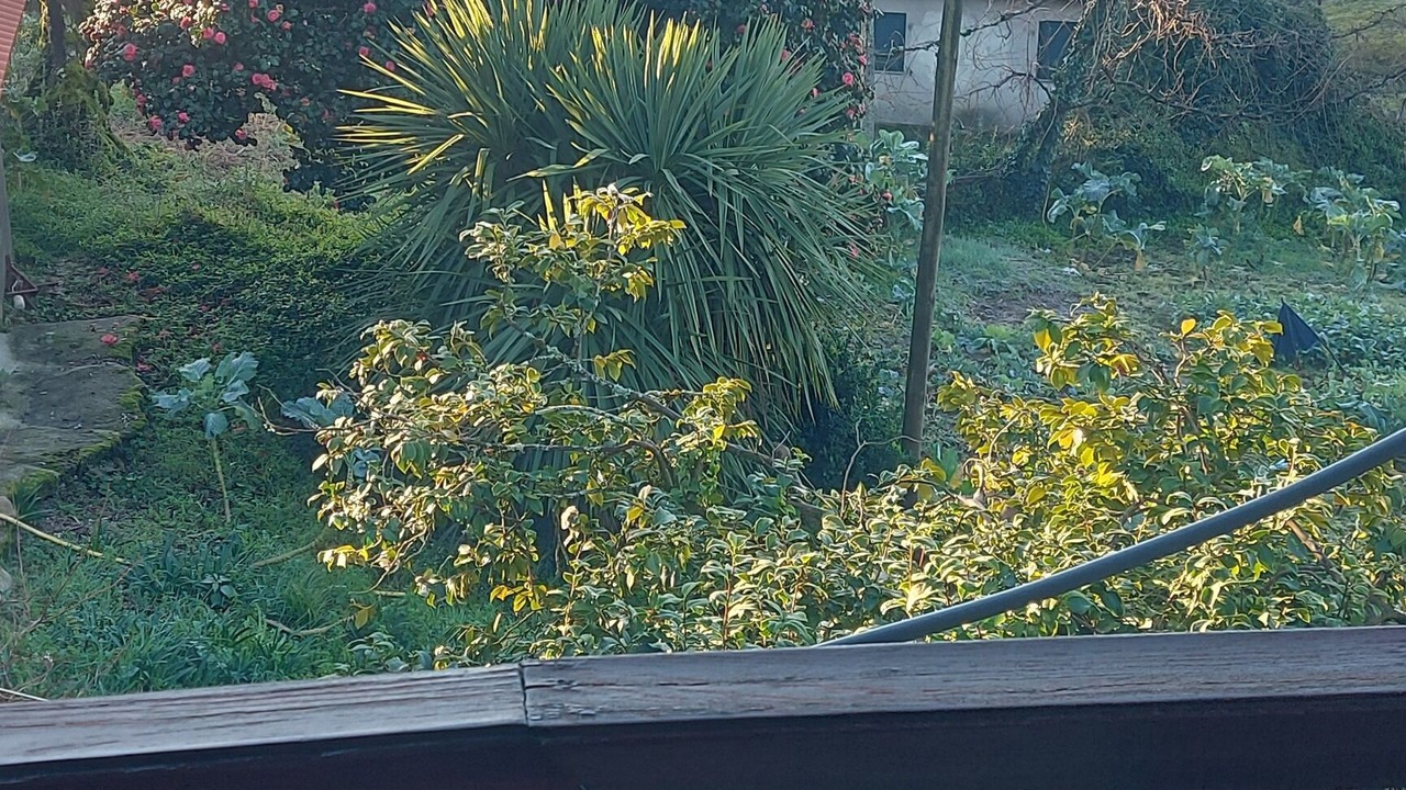 Photo of Outdoor in Guilhofrei