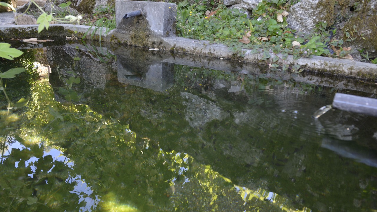 Photo of Others in Guilhofrei