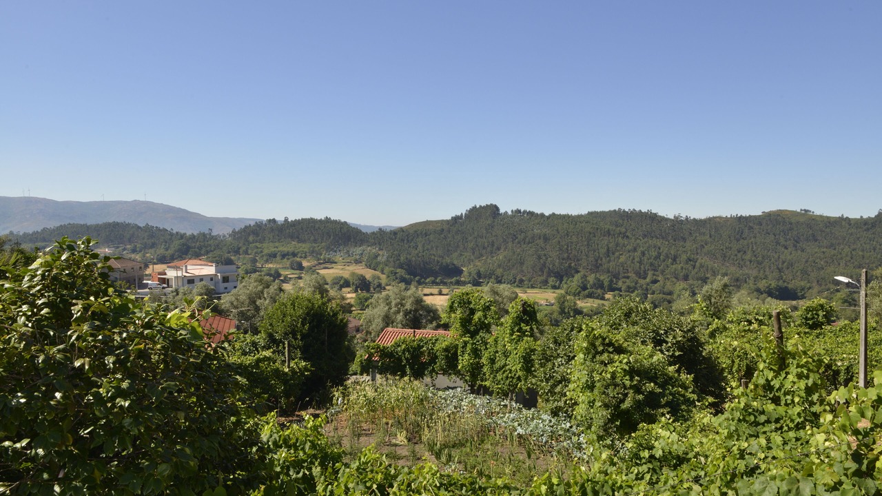 Photo of Others in Guilhofrei