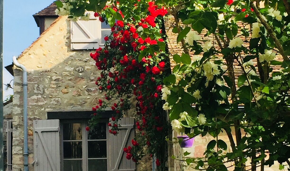 Photo of Outdoor in Noisy-sur-Ecole