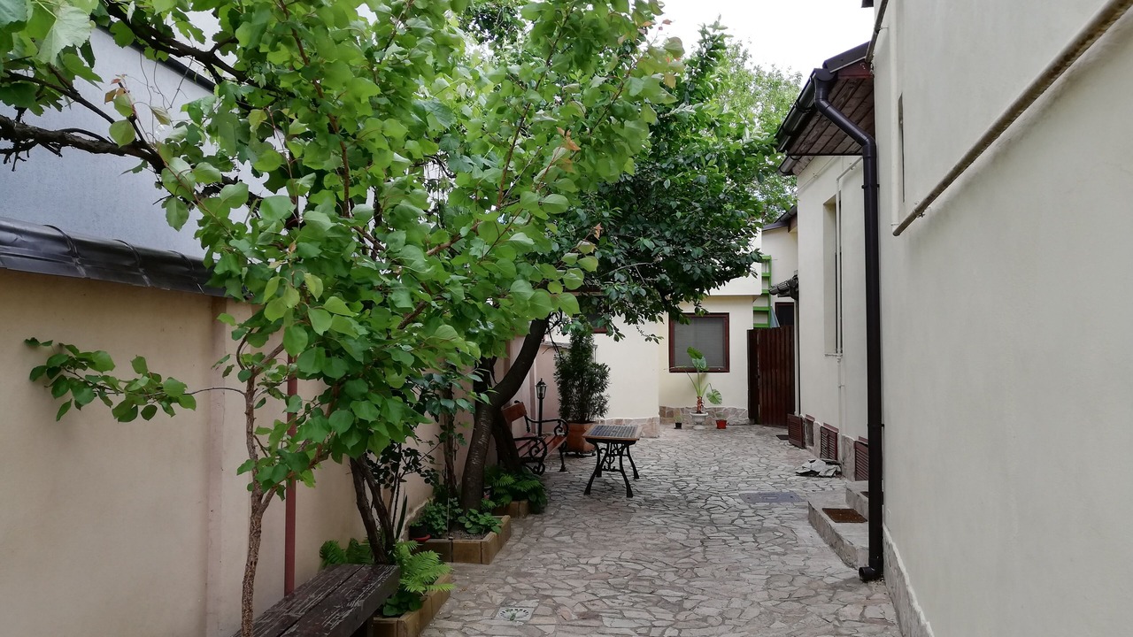 Photo of Others in Timisoara