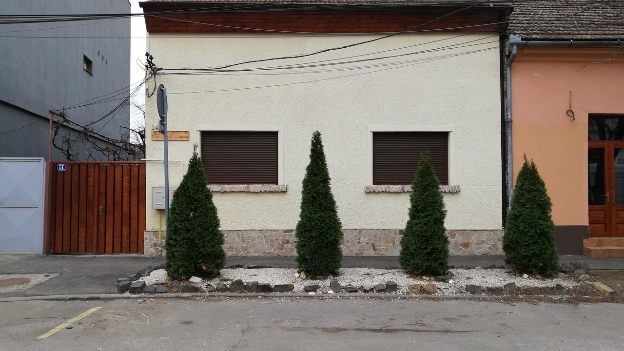 Photo of Others in Timisoara