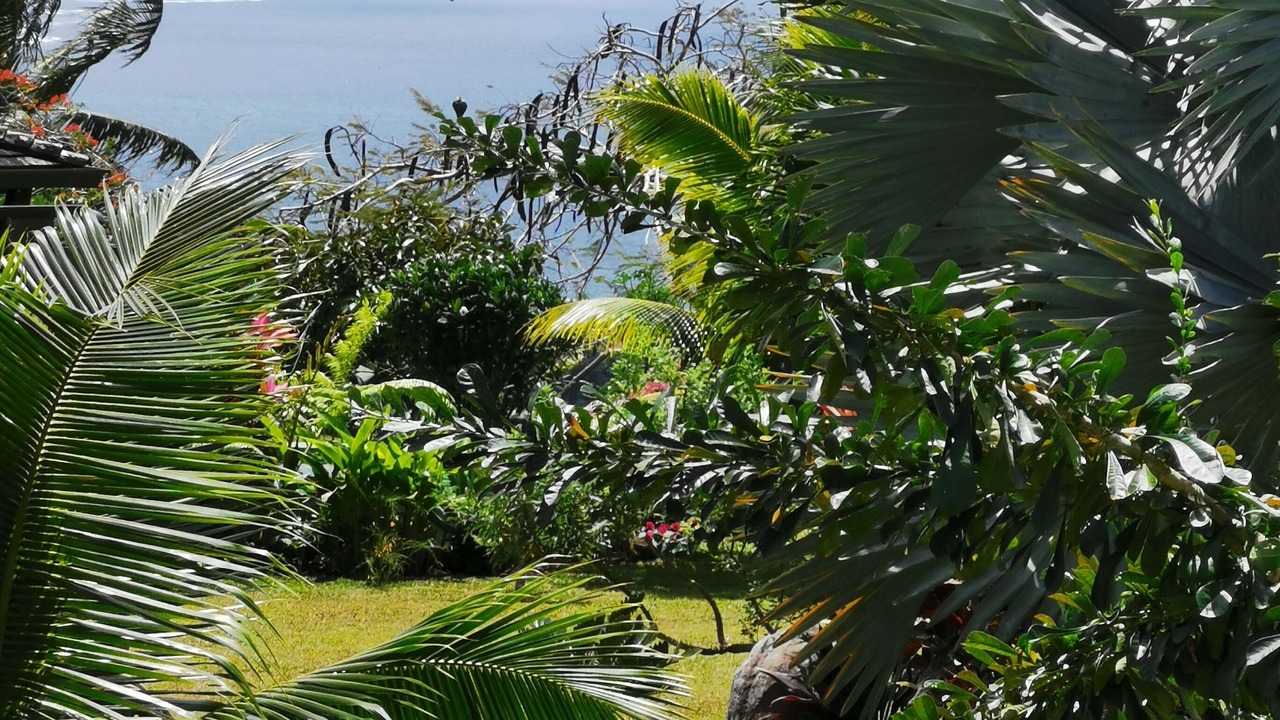 Photo of Outdoor in Taravao