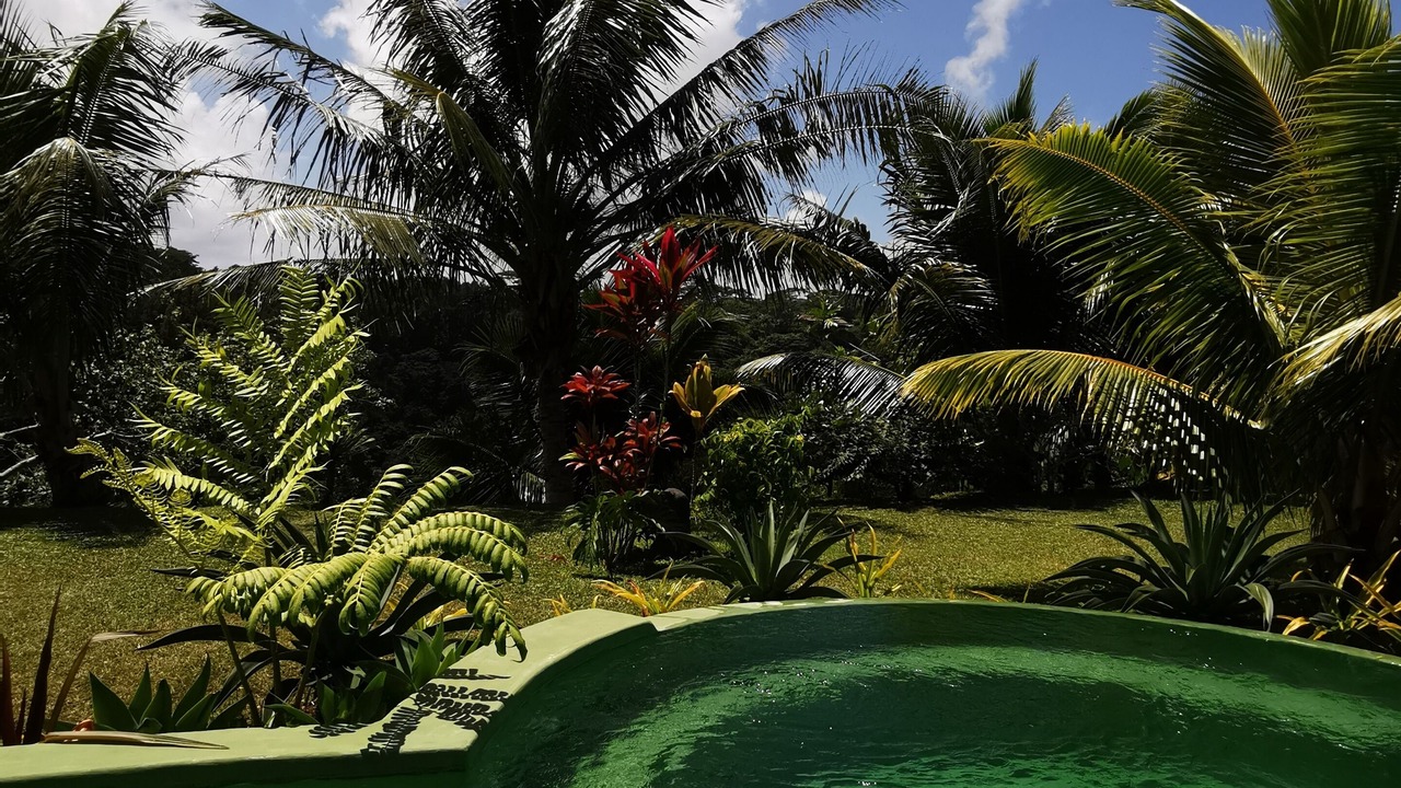 Photo of Outdoor in Taravao