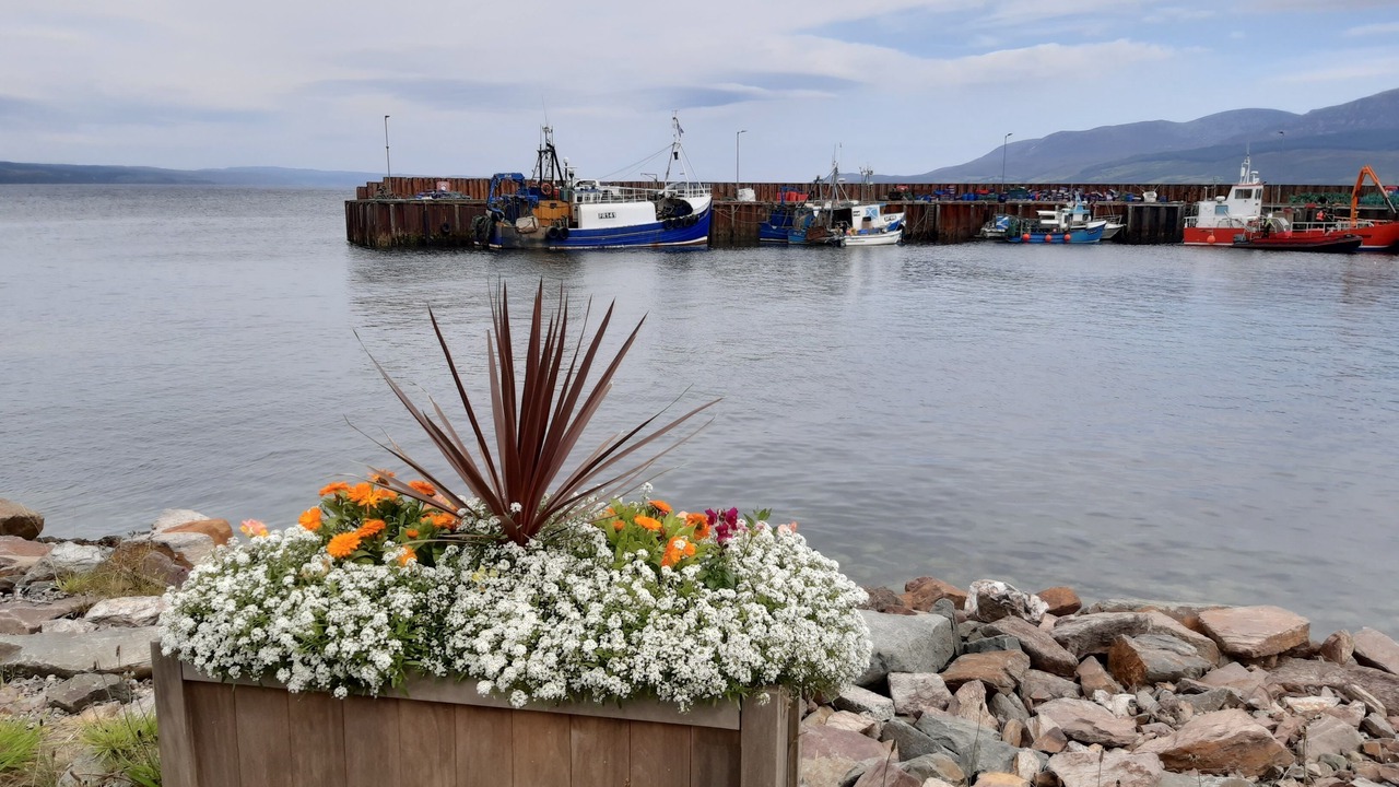 Photo of Others in Gigha