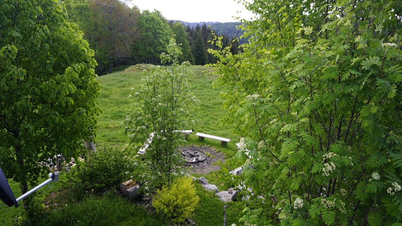Photo of Outdoor in Wittenschwand