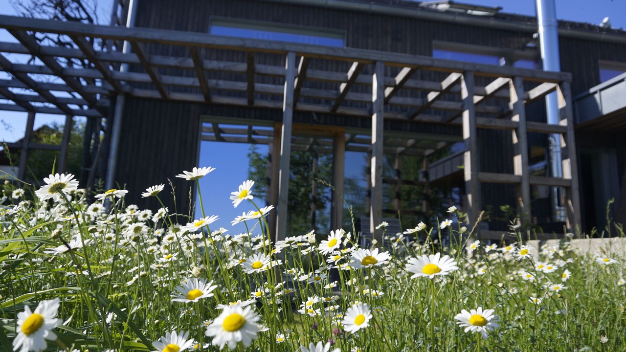 Photo of Outdoor in Wittenschwand
