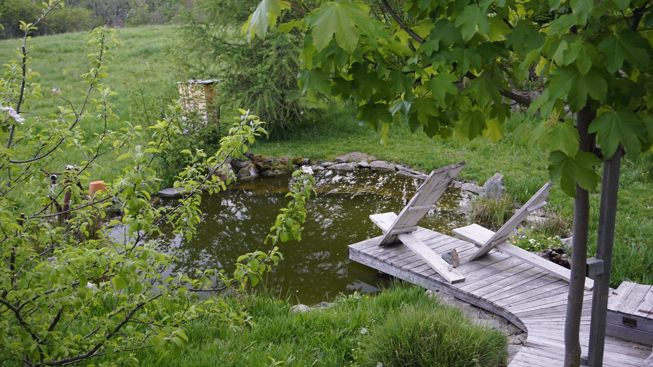 Photo of Outdoor in Wittenschwand