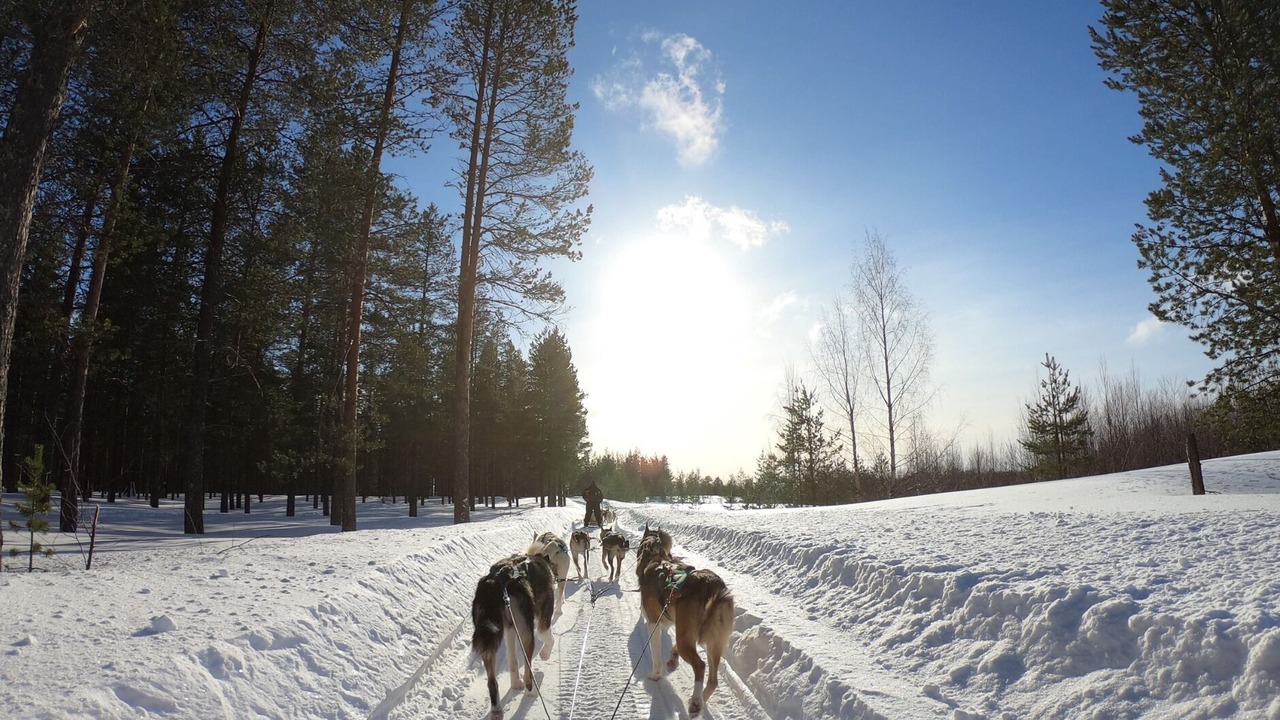 Photo of Others in Ayzac-Ost