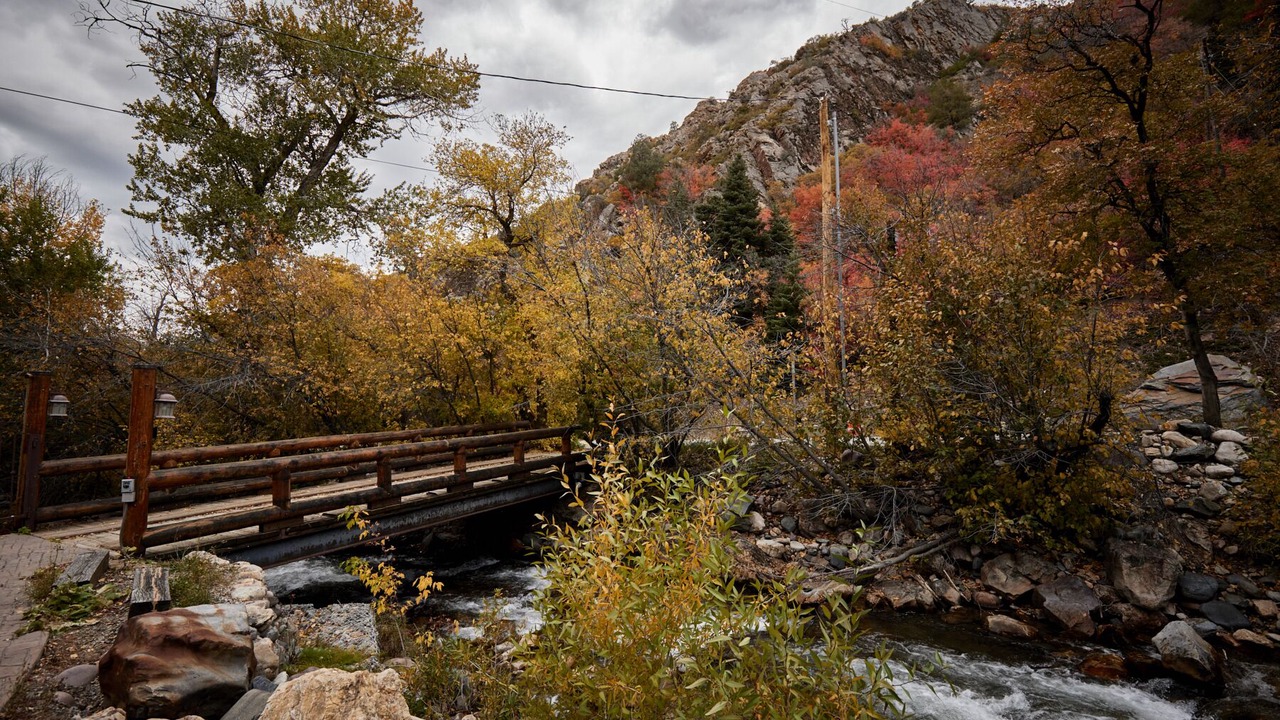 Photo of Others in Snowbird