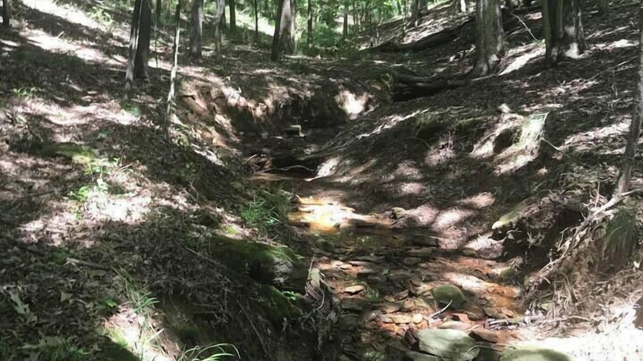 Photo of Others in Stonefort