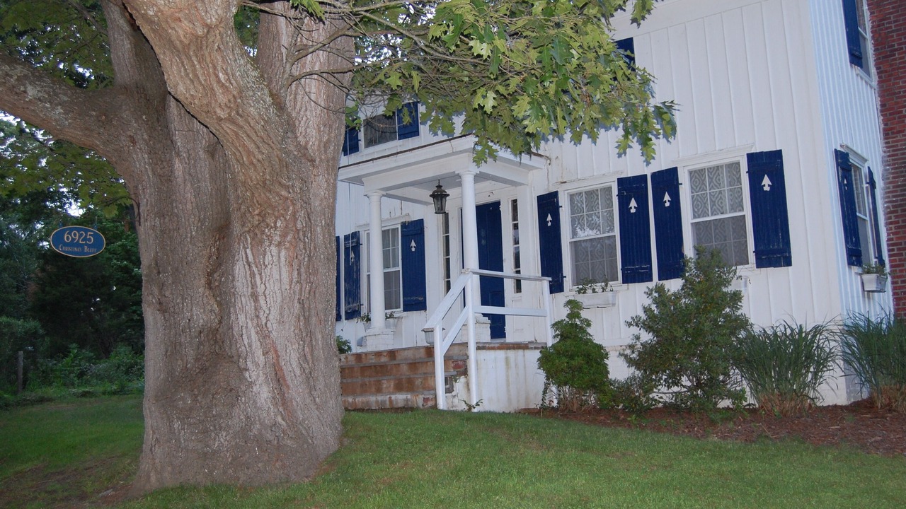 Photo of Outdoor in Cutchogue