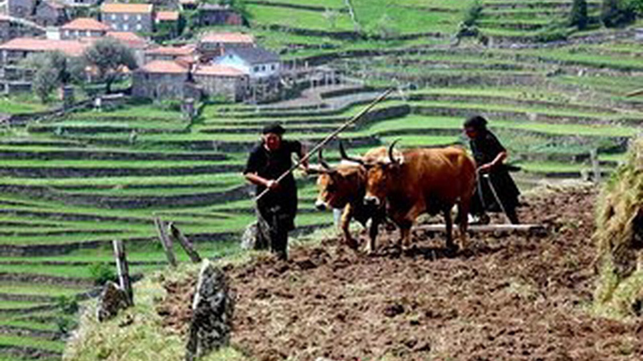 Photo of Outdoor in Soajo