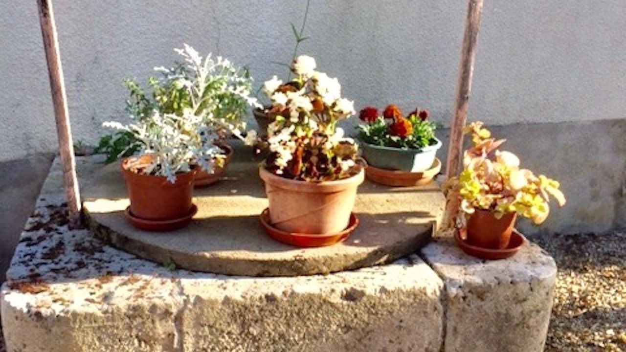 Photo of Outdoor in Jargeau