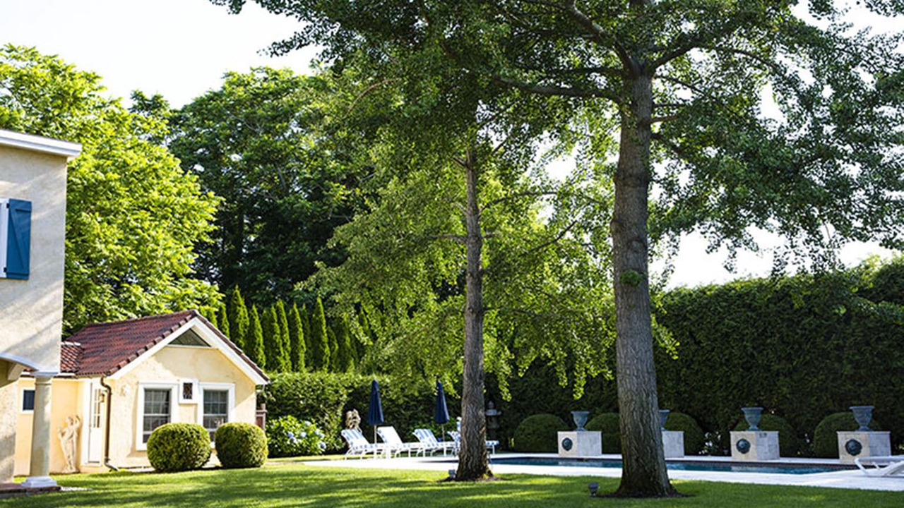 Photo of Outdoor in Bridgehampton