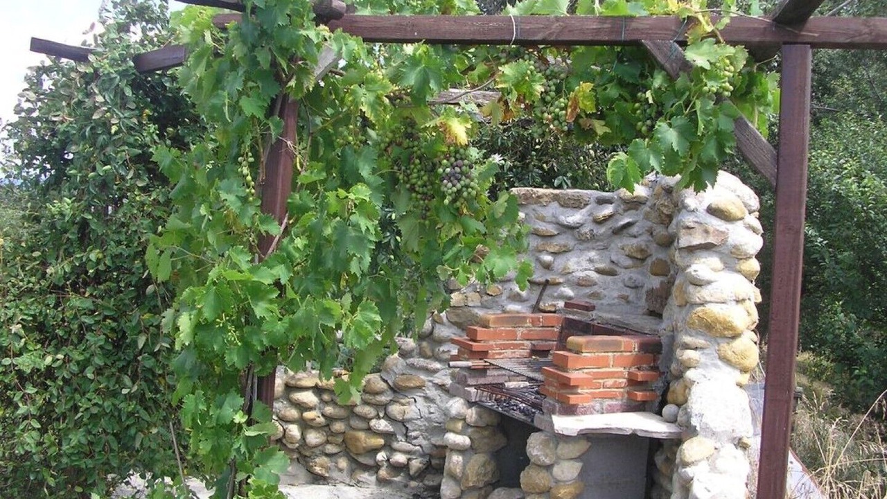 Photo of Outdoor in Coussa