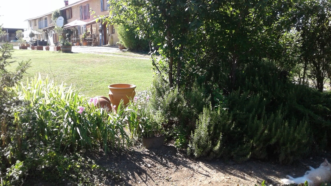 Photo of Outdoor in Coussa