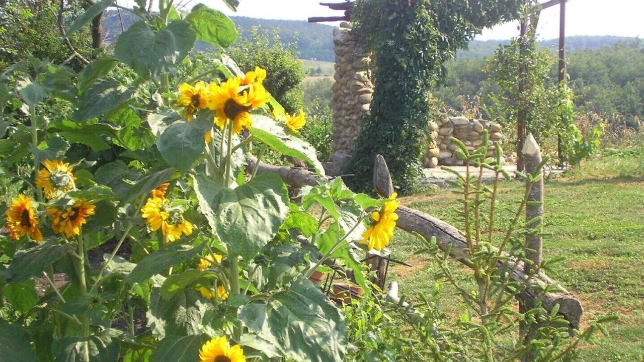 Photo of Outdoor in Coussa