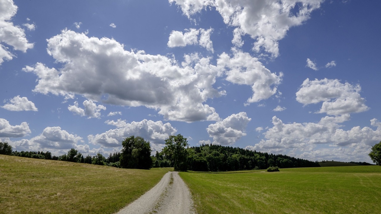 Photo of Others in Erpfingen