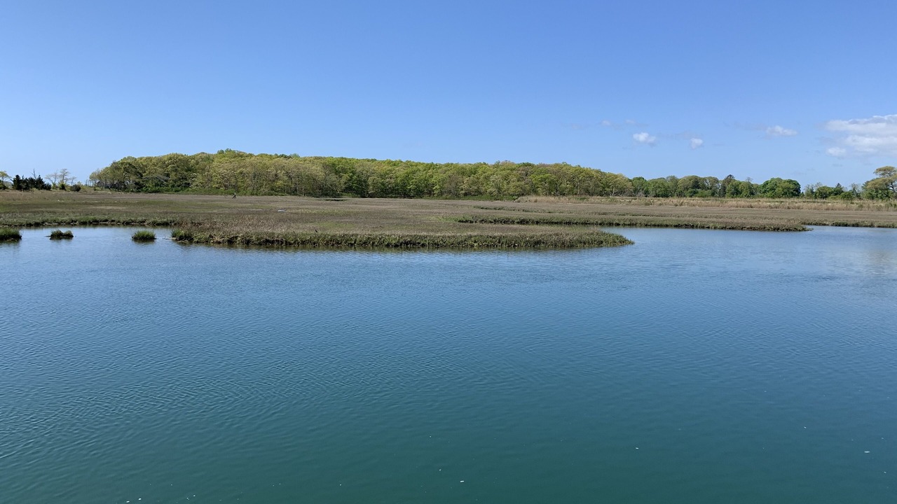 Photo of Outdoor in Cutchogue