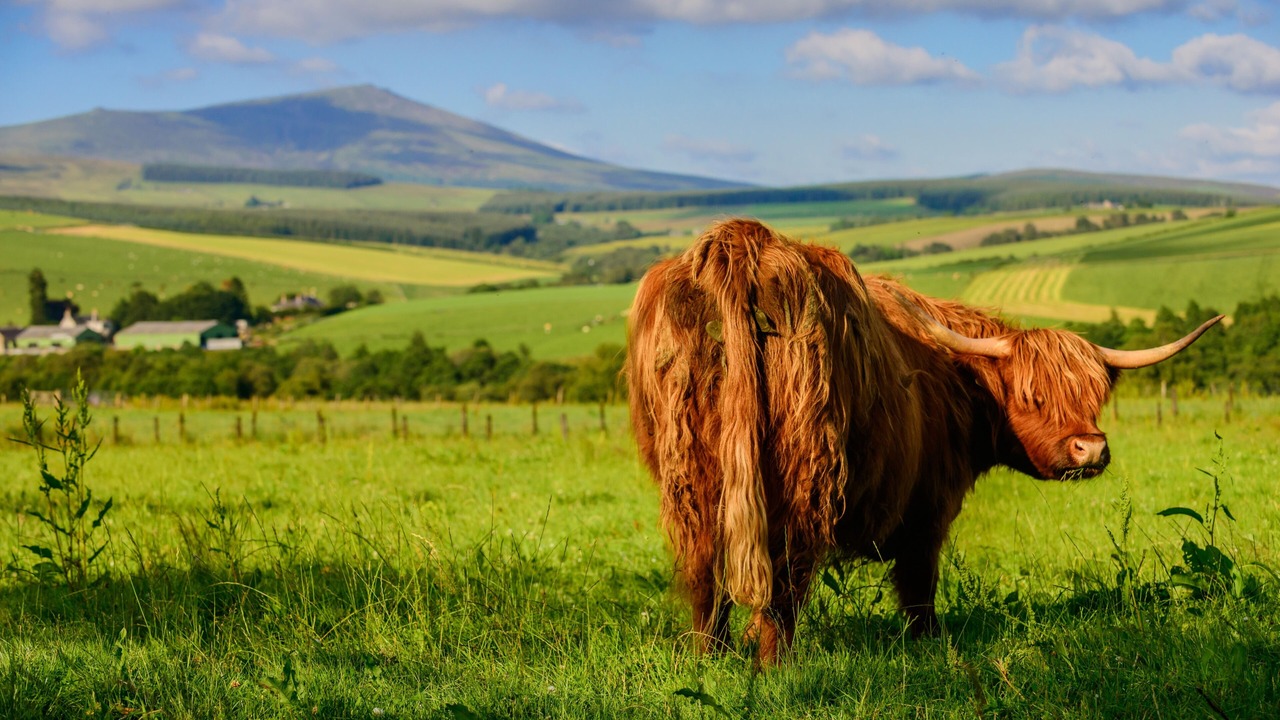 Photo of Others in Glenlivet