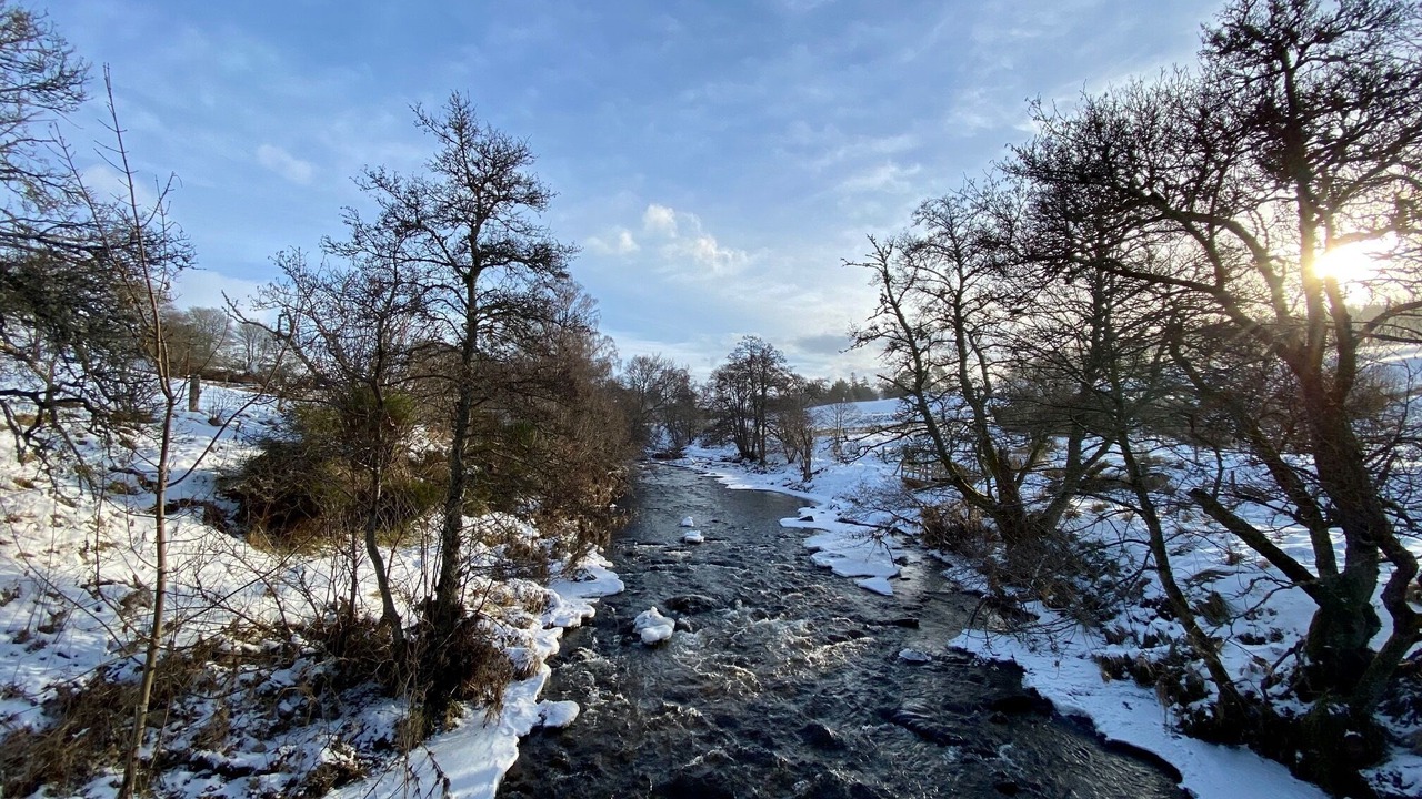 Photo of Others in Glenlivet