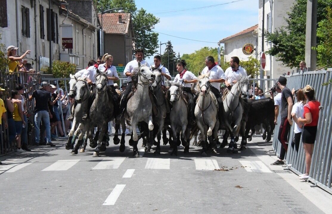 Photo of Others in Plan-d'Orgon
