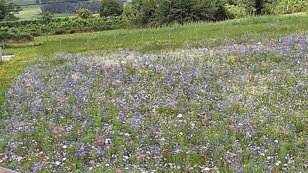 Photo of Outdoor in Berson