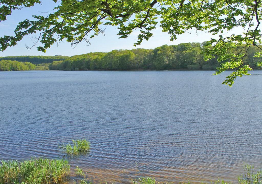 Photo of Others in Saissac