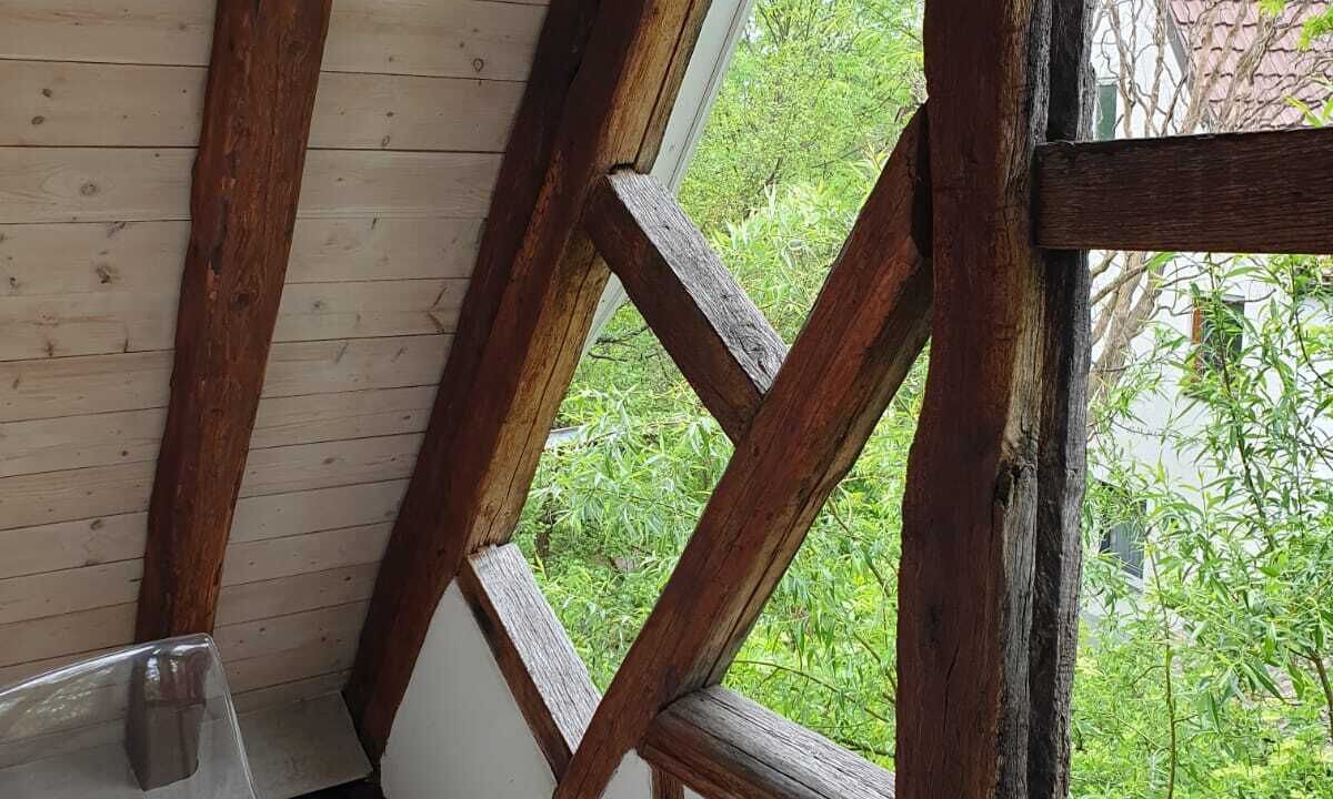 Photo of Outdoor in Kirchheim unter Teck