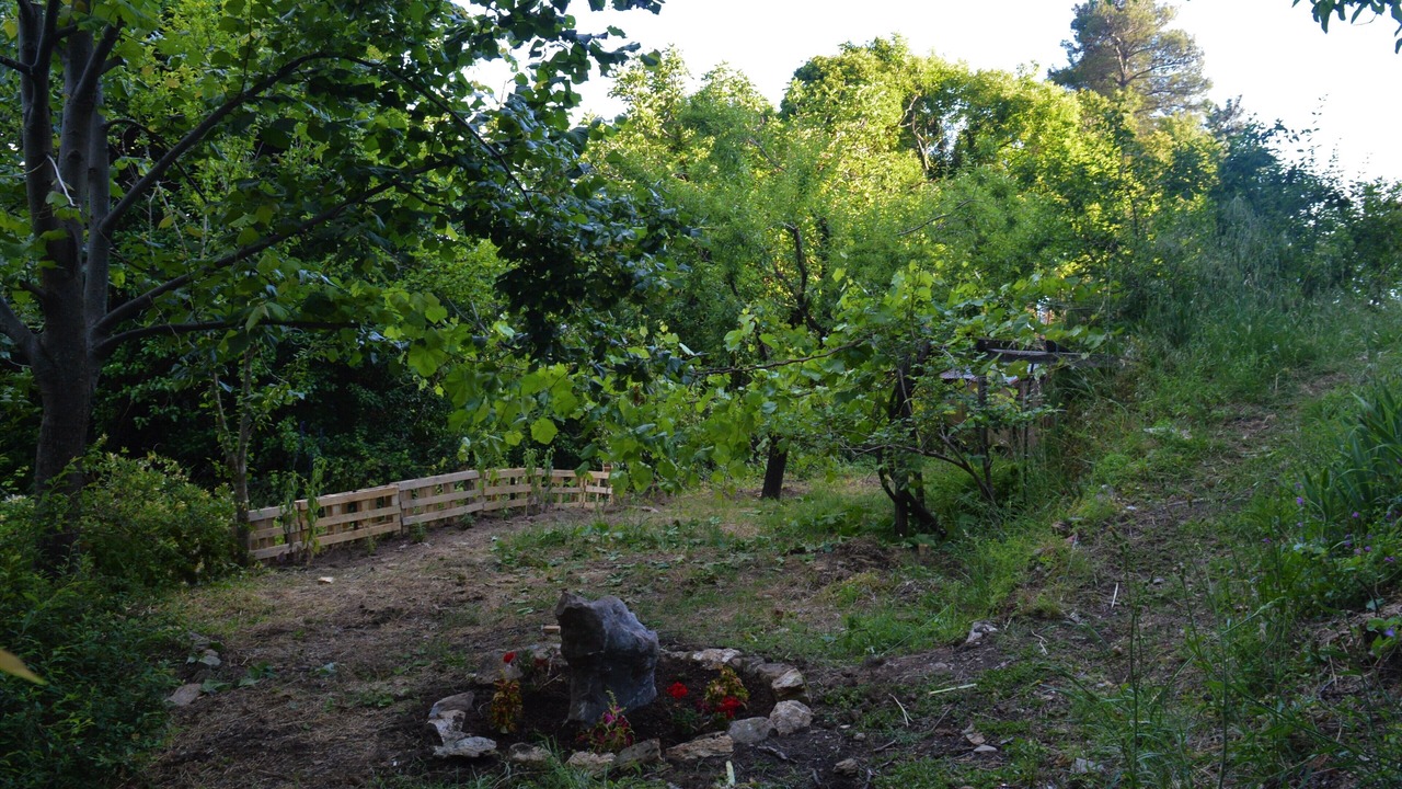 Photo of Outdoor in Milies