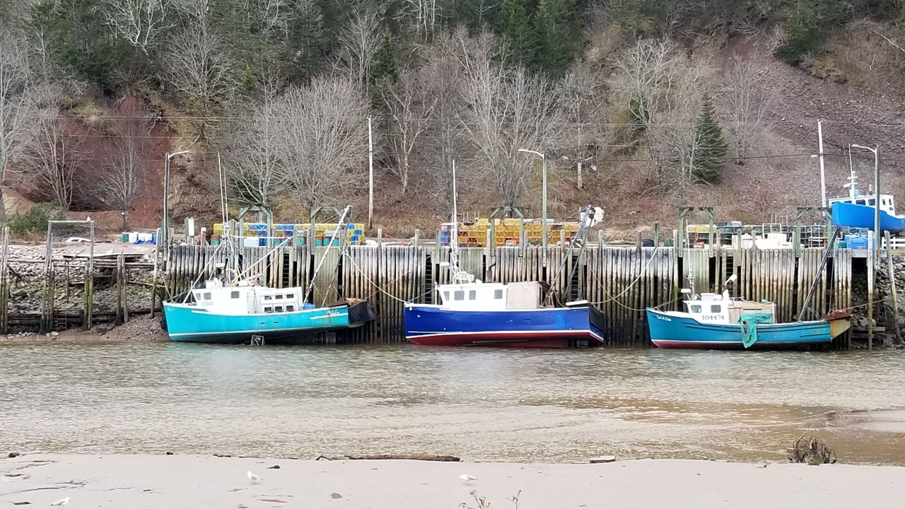 Photo of Others in St. Martins
