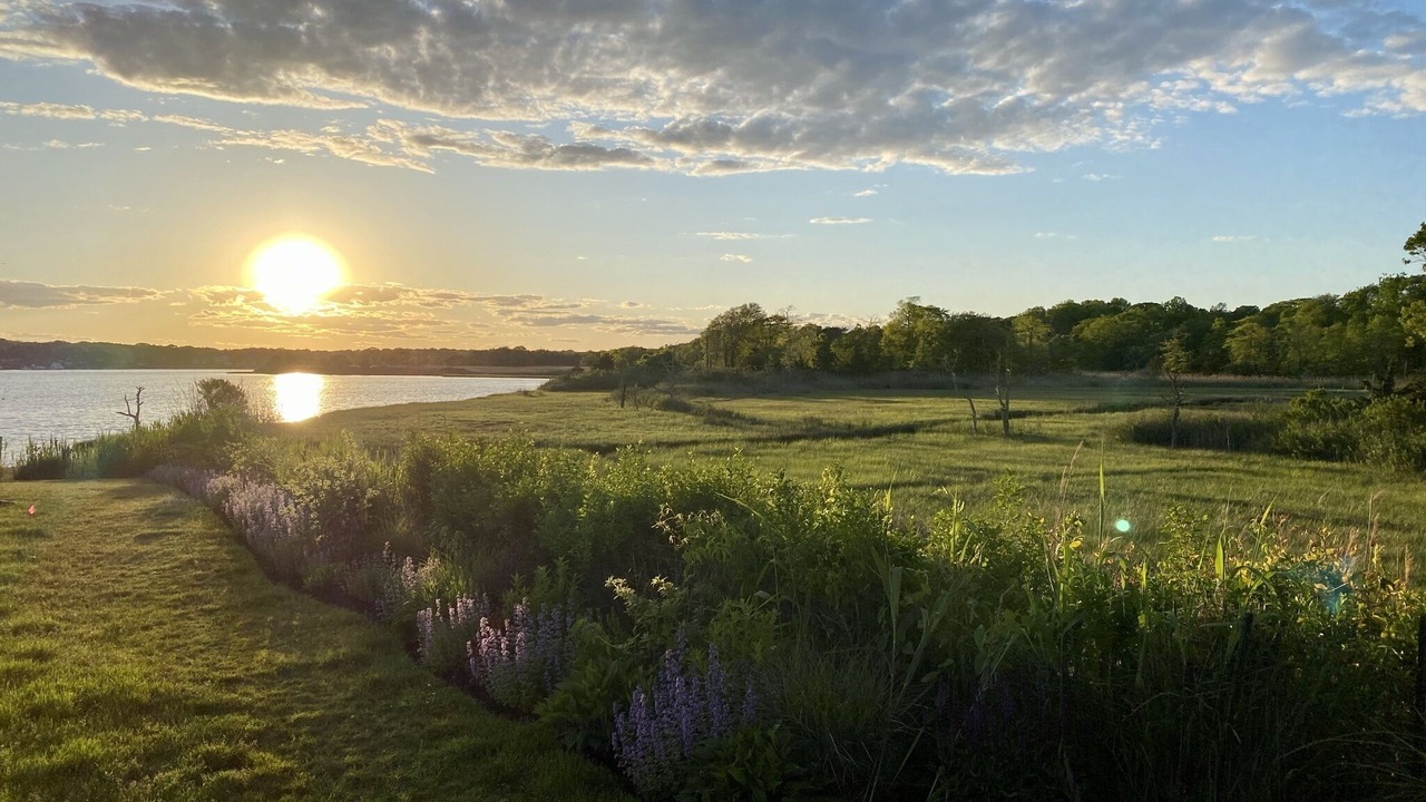 Photo of Outdoor in Center Moriches