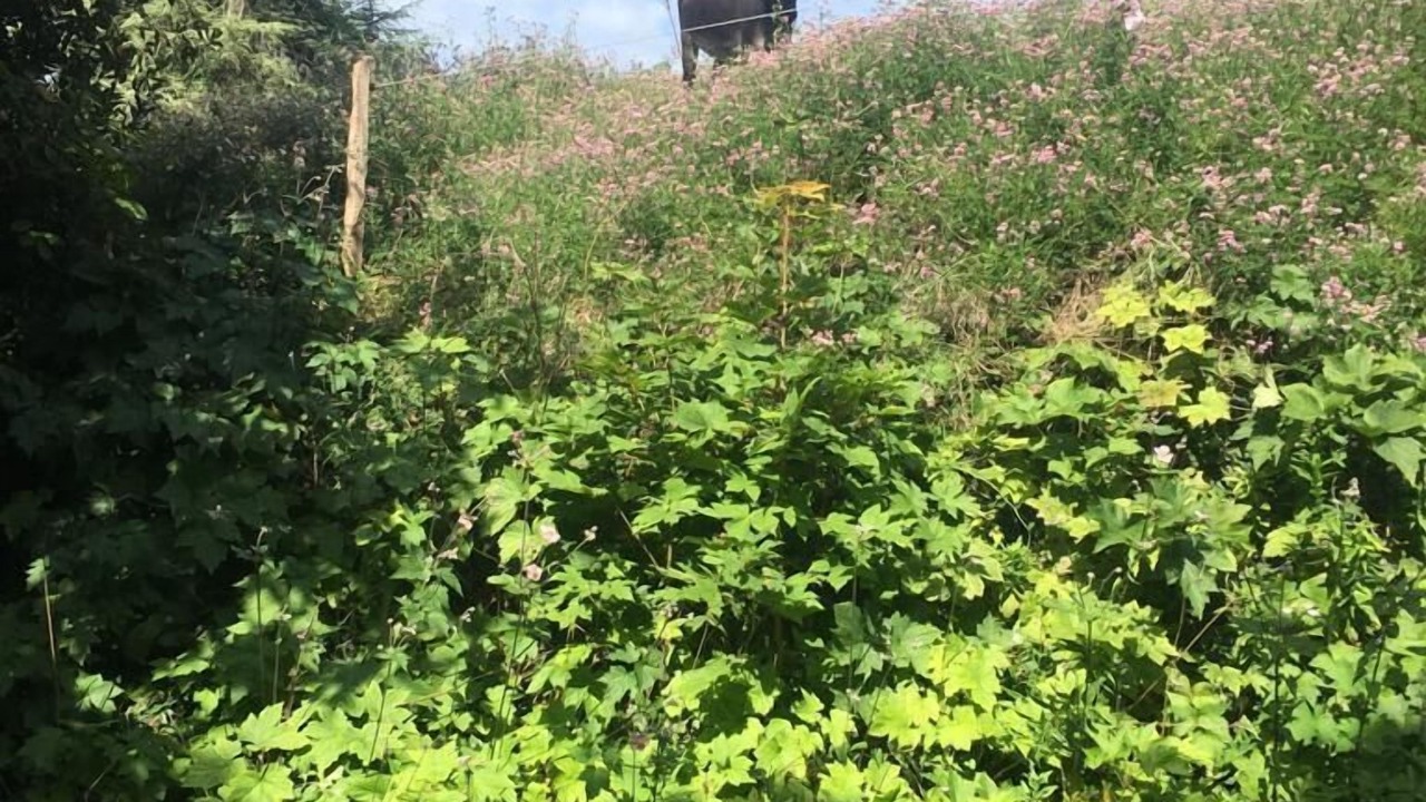 Photo of Outdoor in Bonnes
