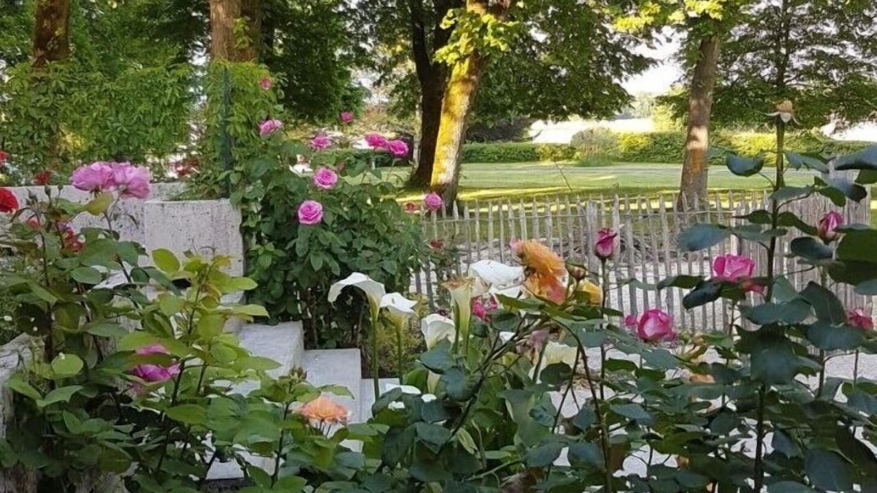 Photo of Outdoor in Bonnes