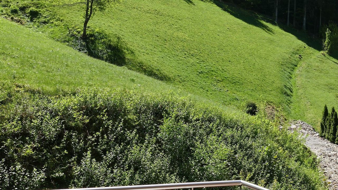Photo of Outdoor in Sankt Maergen