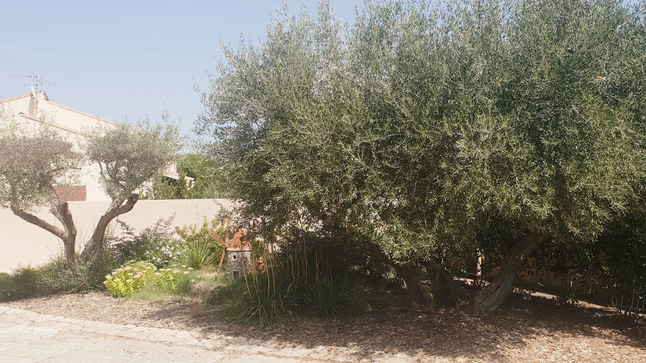 Photo of Outdoor in Lunel