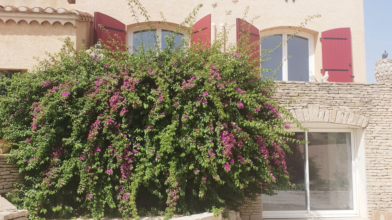 Photo of Outdoor in Lunel