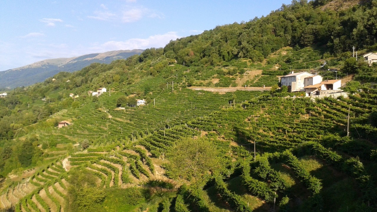 Photo of Outdoor in Pieve di Soligo