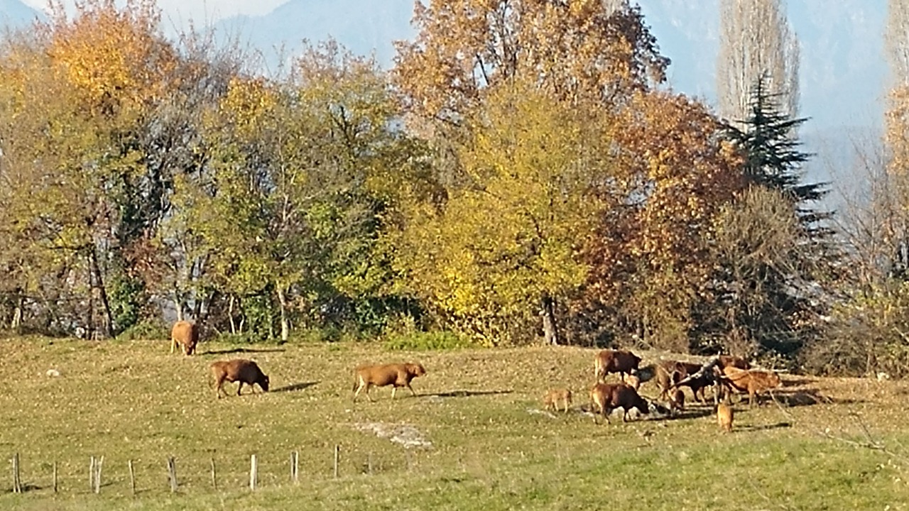 Photo of Outdoor in Pieve di Soligo
