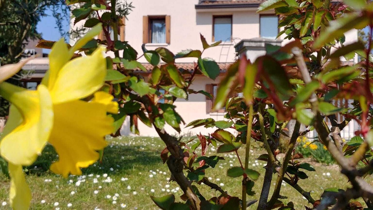 Photo of Outdoor in Pieve di Soligo
