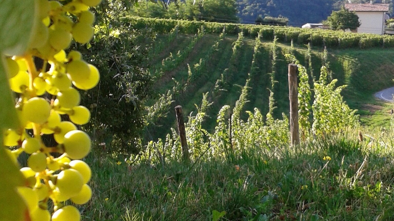 Photo of Outdoor in Pieve di Soligo