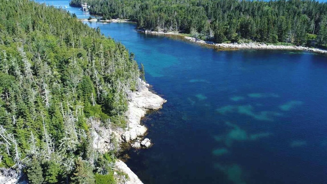 Photo of Others in Southwest Cove
