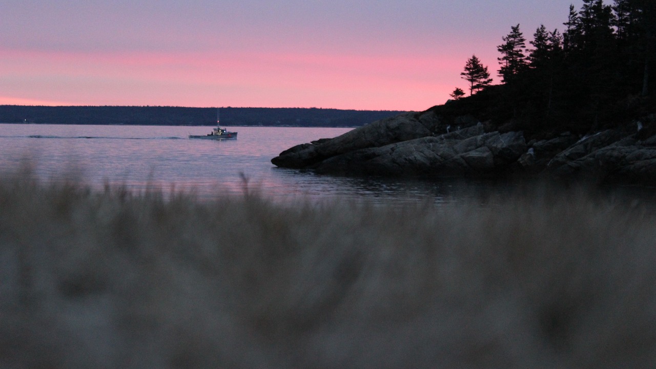 Photo of Others in Southwest Cove