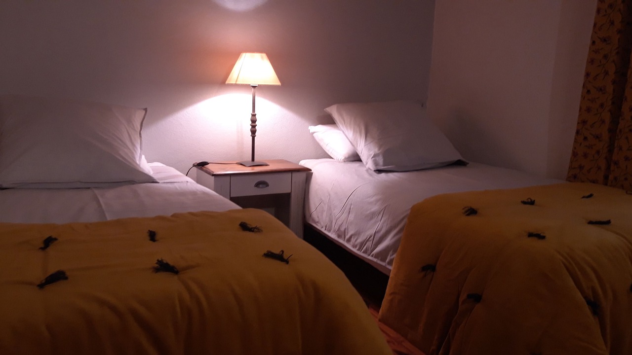 Photo of Bedroom in Cadillac-en-Fronsadais