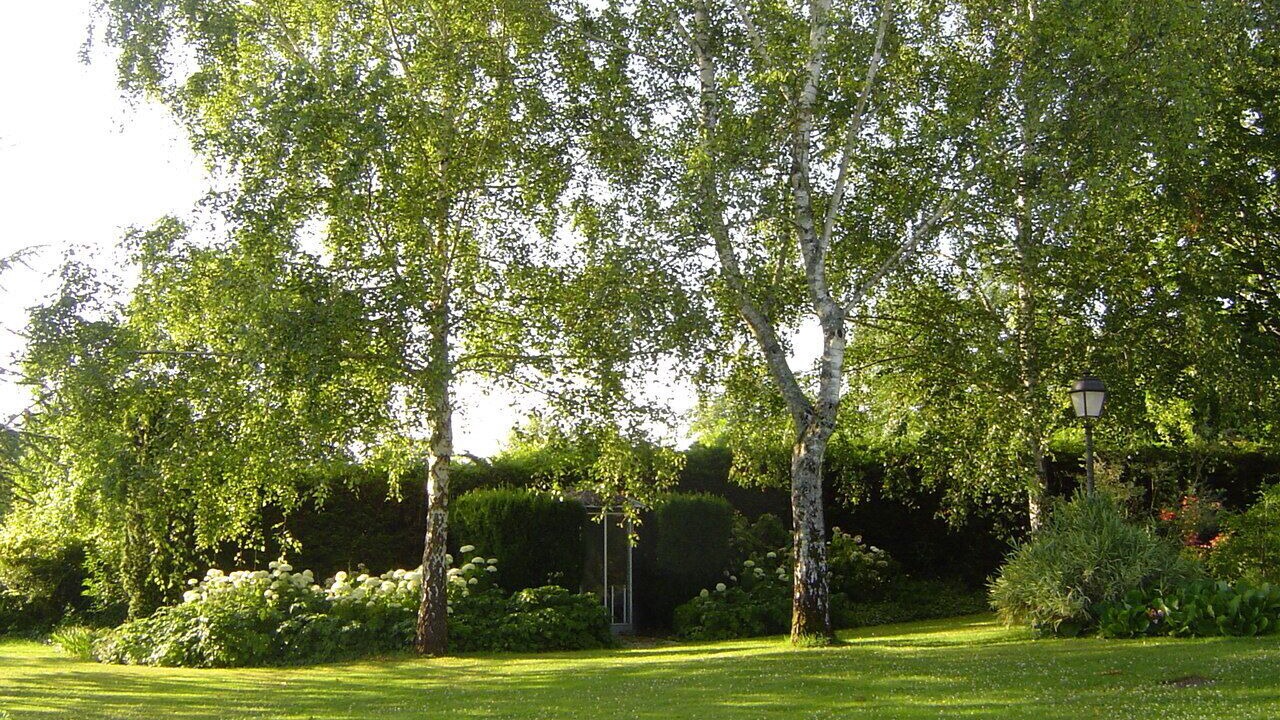 Photo of Outdoor in Cadillac-en-Fronsadais