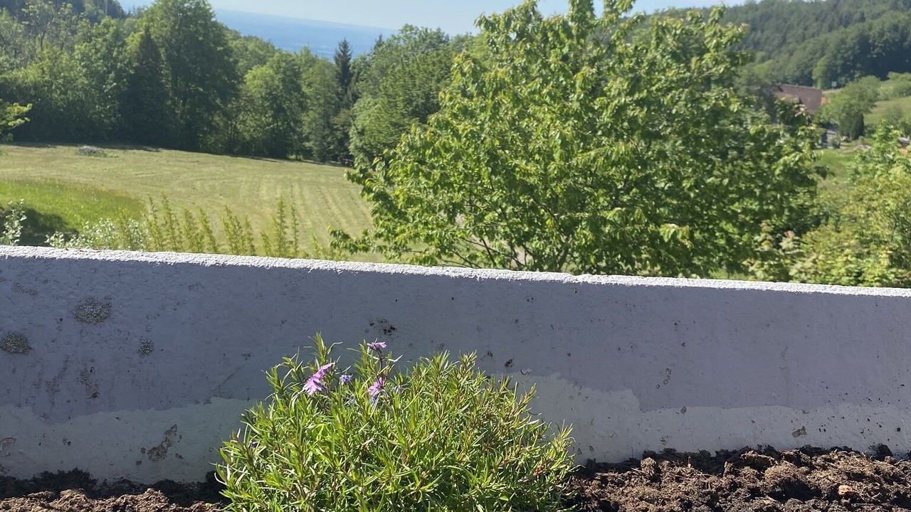 Photo of Outdoor in Sasbachwalden