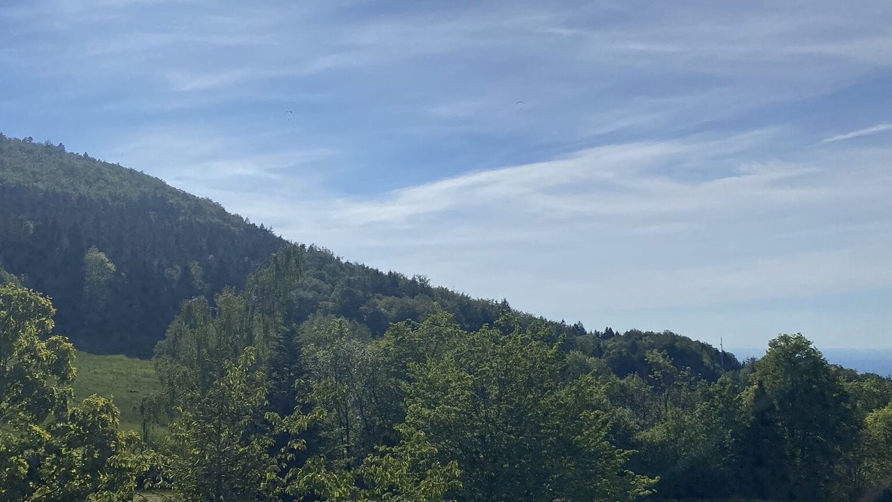 Photo of Others in Sasbachwalden