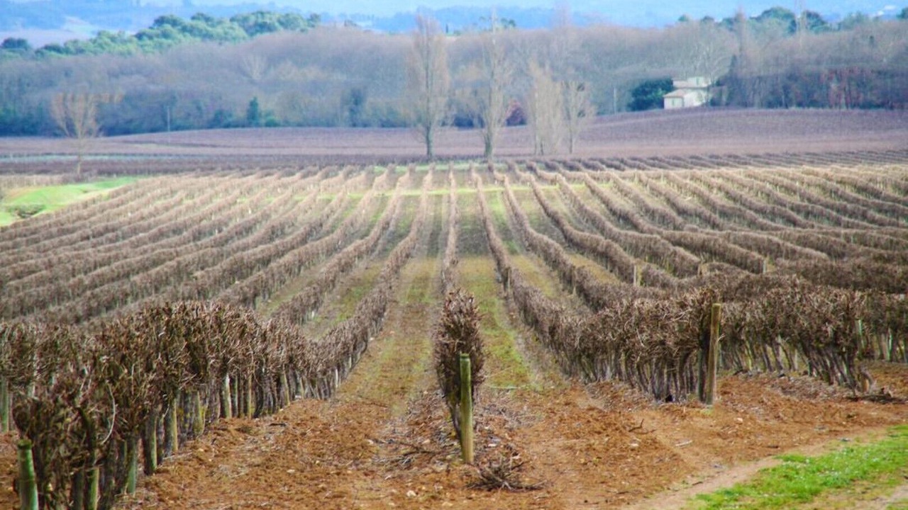 Photo of Outdoor in Carcassonne
